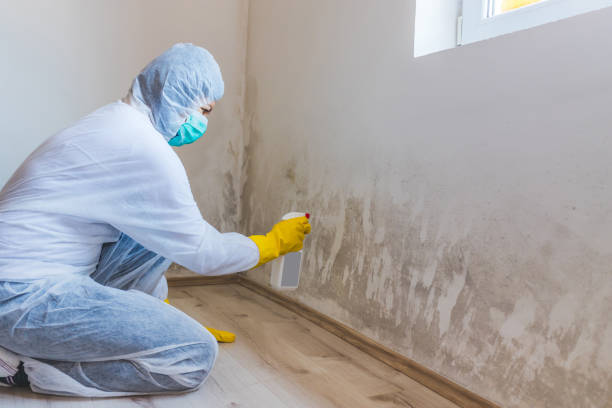 Mold Remediation specialist working in Media